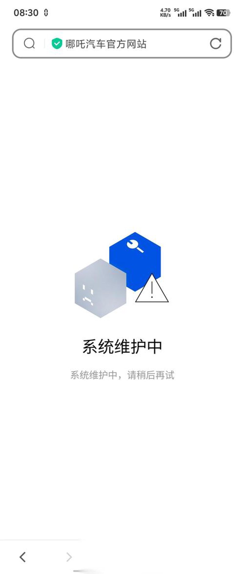 软件系统维护
